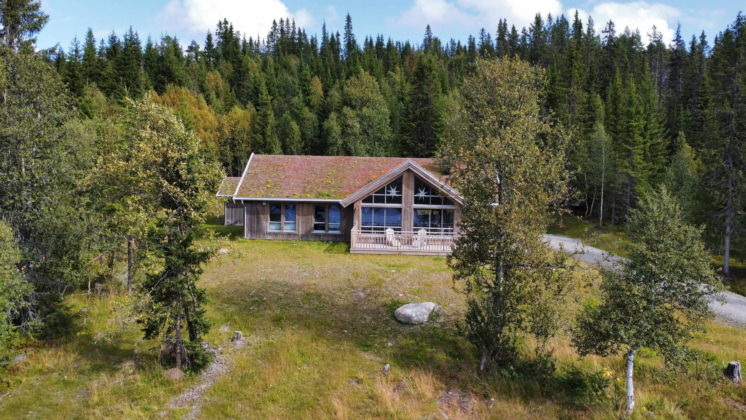 Surroundings in summer
